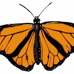 jayvisionaire