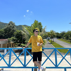 Ng Hoàng Việt