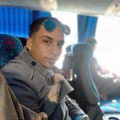 Ahmed Hassaneen Ali
