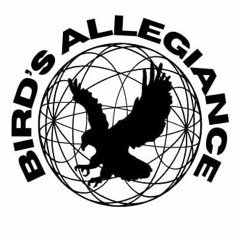 Birds allegiance