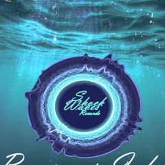 ShockWaves Records. Pro