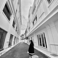 Hồng Nhung