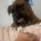 Gianna