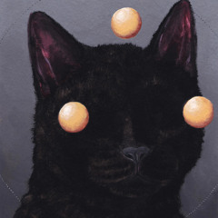 Niko Econo