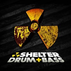 ShelterSF DnB