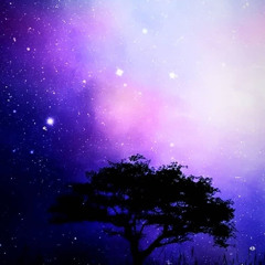 cosmic traveller