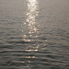 ____12hs