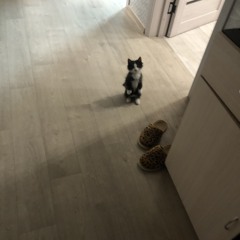 данил пиво открывашка