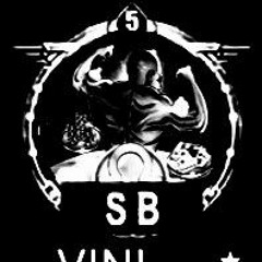 VIN369