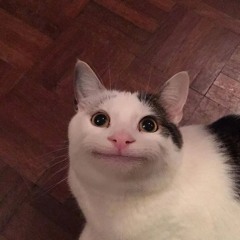 Ollie