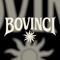 bovinci