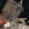 mattcartier