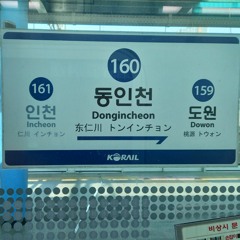 감나의 하루