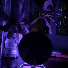 звери дело не в этом