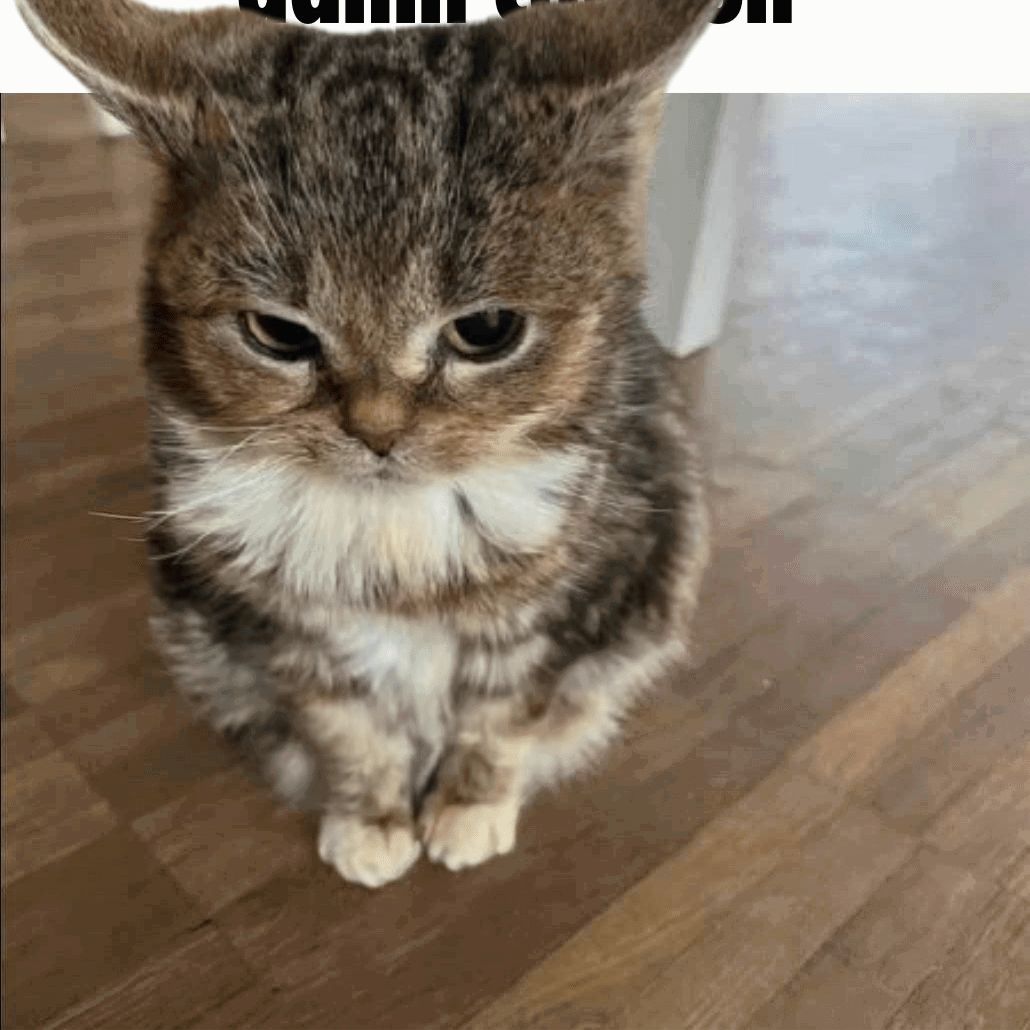 𝕻
