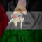 Ahmed E Makhlof