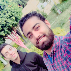 Ahmed Adel ElAwamy