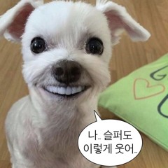 뿌뿌