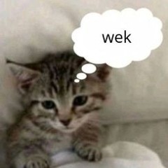 wek
