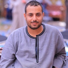 حسن محمد حسين فرغلى