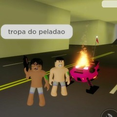 @qlf_brzinho4
