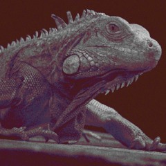 EndangeredIguana