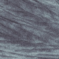 porifera