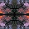 Axial