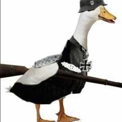 nazi duck