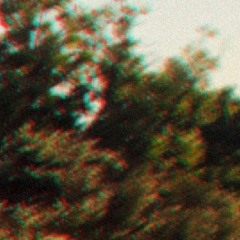 greennotes