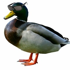 DuckTime