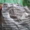 bar code