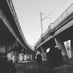 gilipterka reptil titel