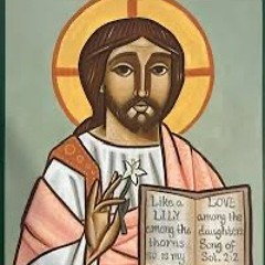 Fool4Christ