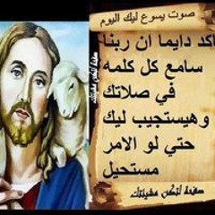 arsany arsany