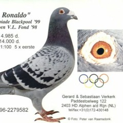 rgsrgs7