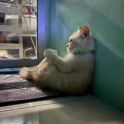 03 Ta Khu Khu Mhar Nay Pyi