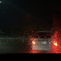 Feras
