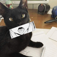 brazil cat