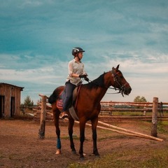 Sparkbridge Ferguson