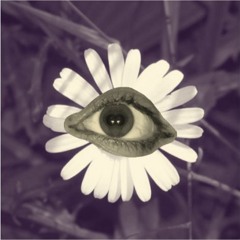 Daiseye