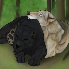 Wolf and Panther