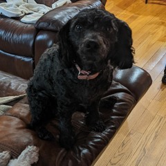 Carlos