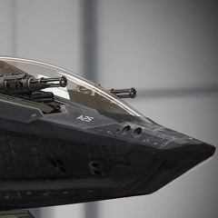Bloodhound
