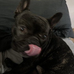 Lu
