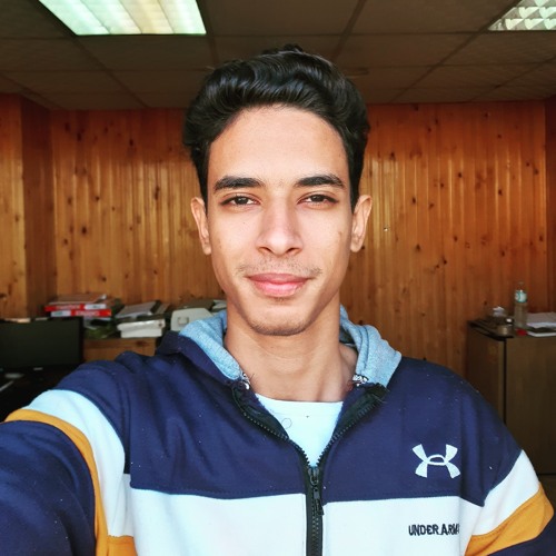 Ibrahim Ahmed22’s avatar