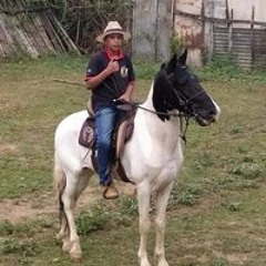 Gustavo Henrique Cardoso
