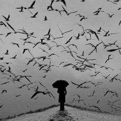 özgürlük🕊️