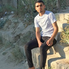 Anas Abu Sharbi