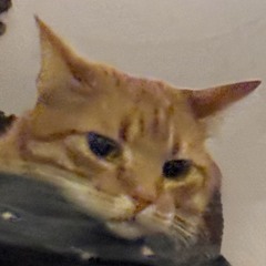 Sophie Julie Knudsen